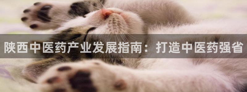 九游会老哥俱乐部