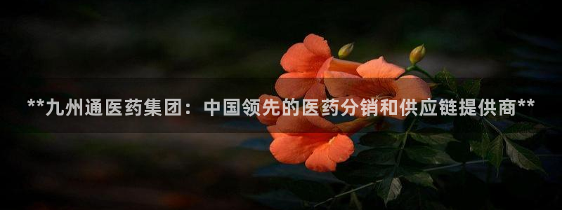 j9九游会登录网址
