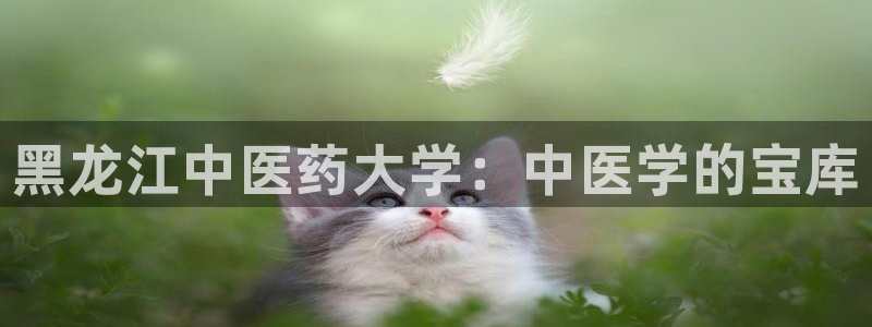 九游会官网开会