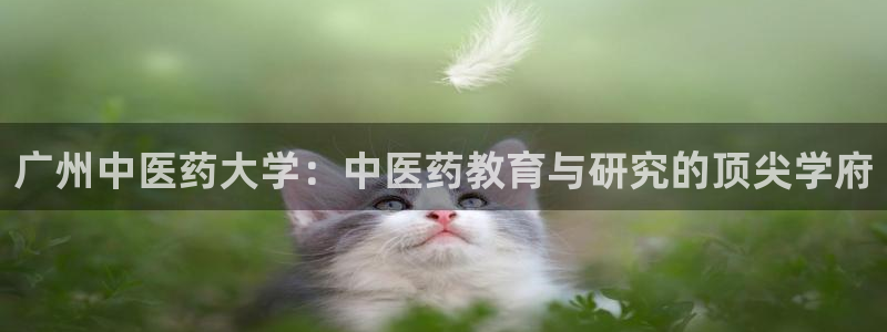 九游会老哥论坛