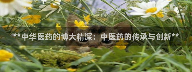 j9九游会安卓版下载