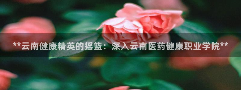 九游会集团 | 首页