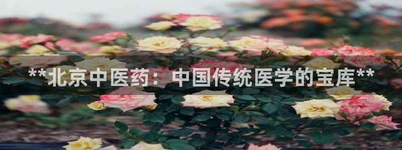 九游会官方正版下载