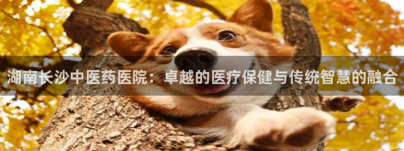 九游会官网下载不了吗