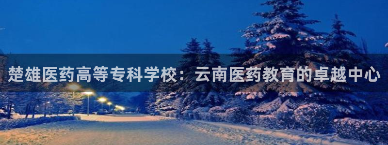九游会游戏官方登录