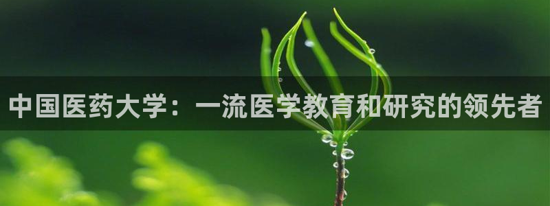 ag九游会登录中心