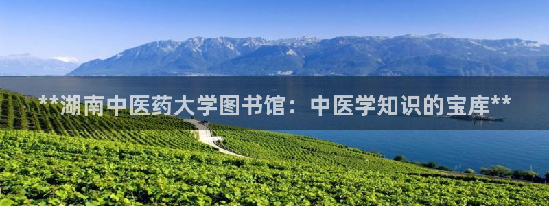 j9九游会官网