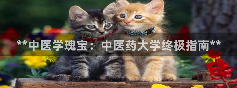j9九游会永久域名