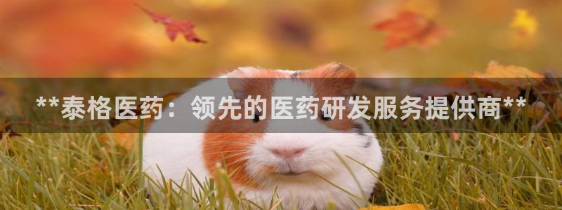 ag九游会app