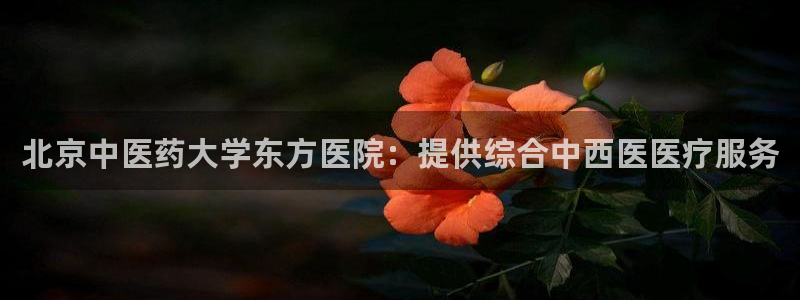 j9九游会官方网站国际
