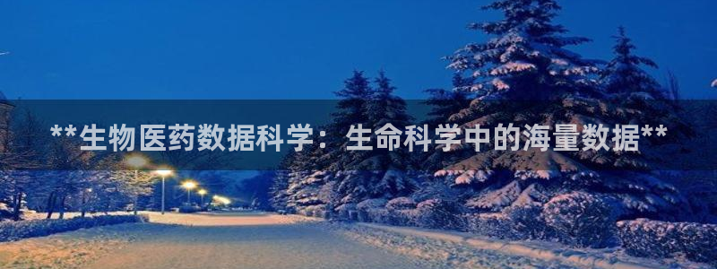 九游会中国j9 09.ag