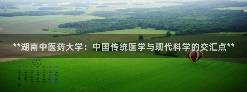 九游J9官网登录入口