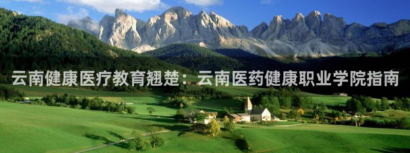九游会app官方下载安装