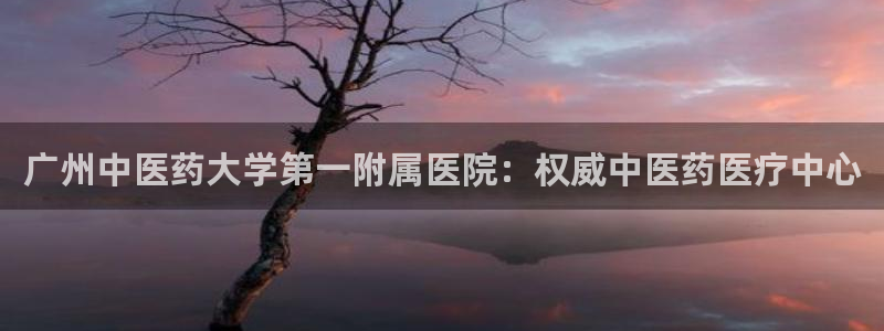 九游会中国j9 09.ag