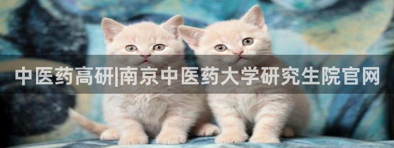 九游会平台j9
