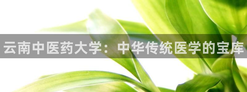 ag九游会论坛