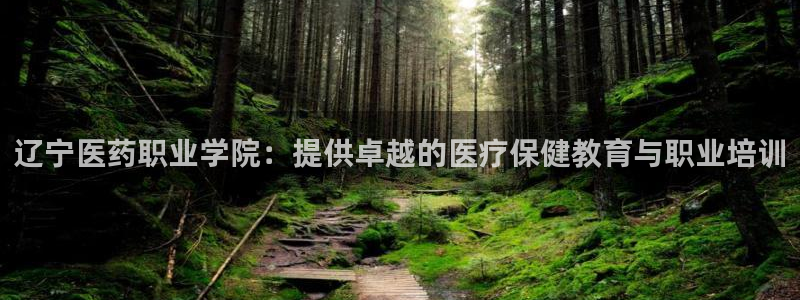 九游会官网 登录网站