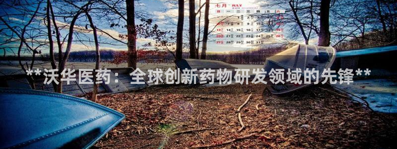 j9九游会游戏中国官方网站