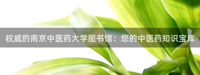九游会ag真人官网
