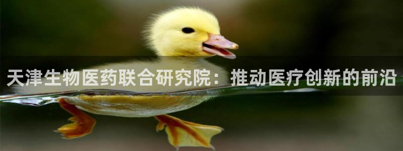 j9官网豪华游