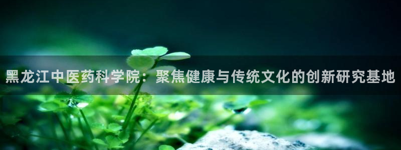 j9九游会下载