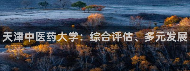 ag九游会登录网站