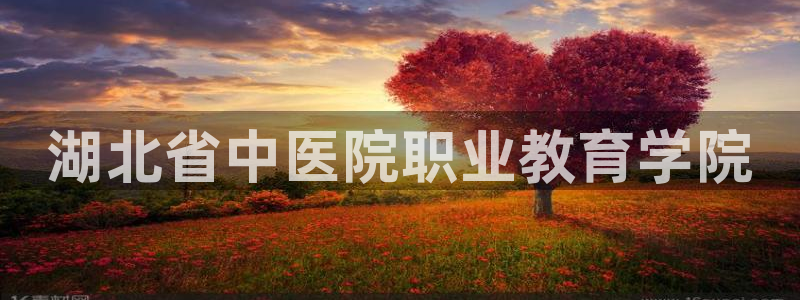 九游会第一真人视频游戏