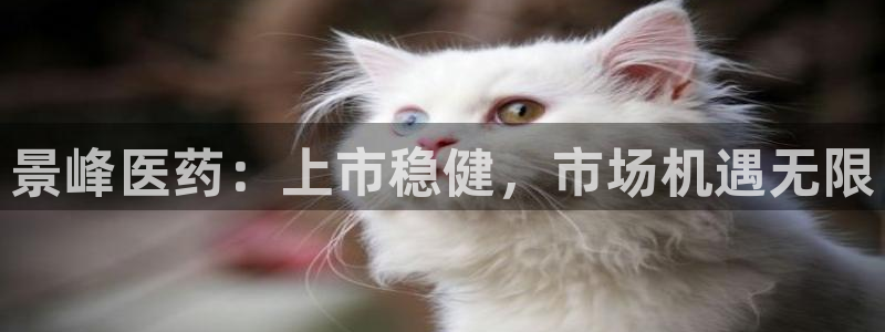 九游会官网多少