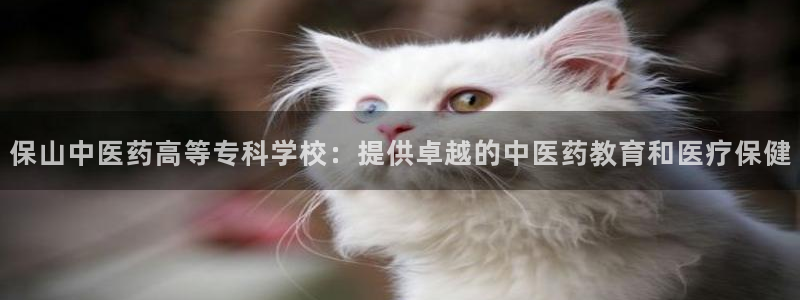 九游会的网址是多少