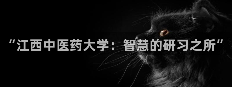 九游会提款快吗：“江