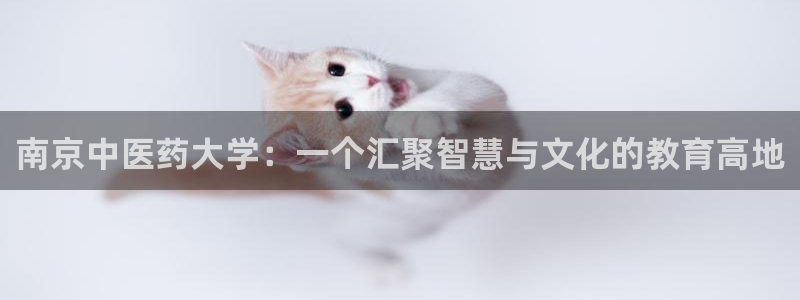 九游老哥俱乐部官方网站