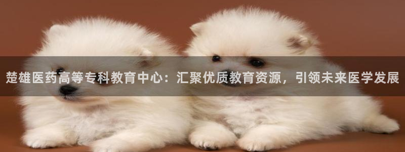 九游会官方首页登录