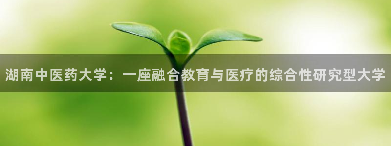 九游会怎么提币