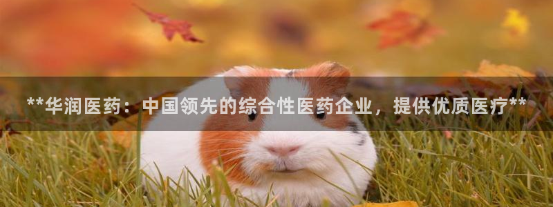 九游会官网真人认证吗