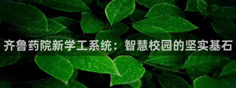 九游会是不是黑网