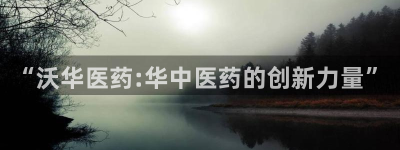 j9九游会app下载