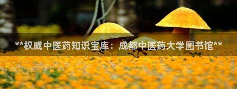 j9九游会老哥俱乐部交流区