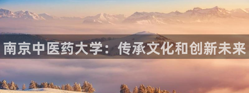 j9九游会ag8手机aPP