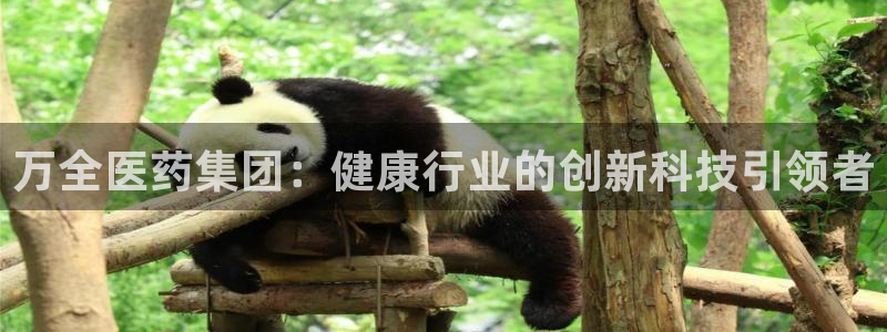 九游会的网址是多少