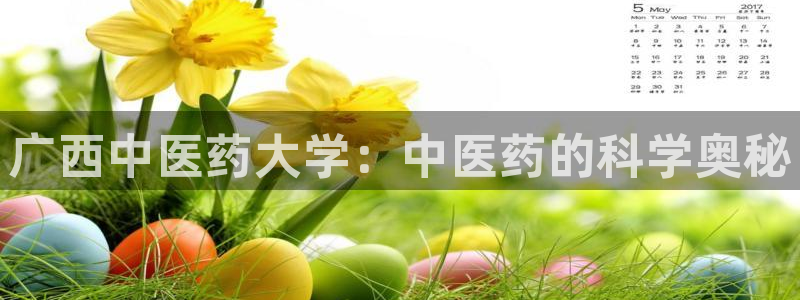 九游会老哥俱乐部必备的交流社区