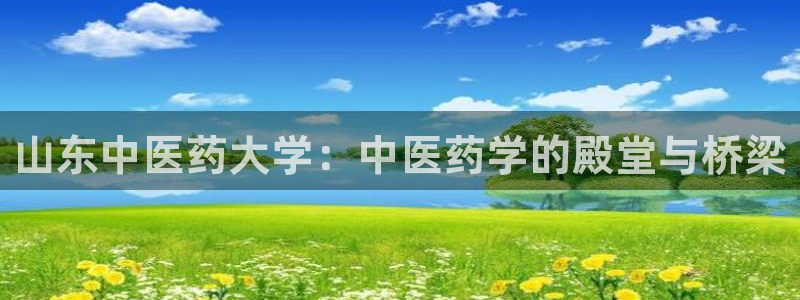 九游会是大平台吗