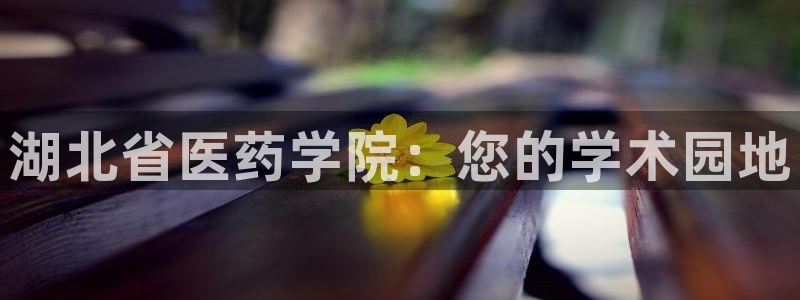 九游会老哥俱乐部官方网站