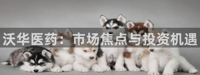 九游会ag老哥俱乐部