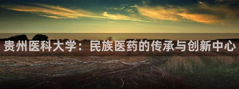 九游会是什么平台