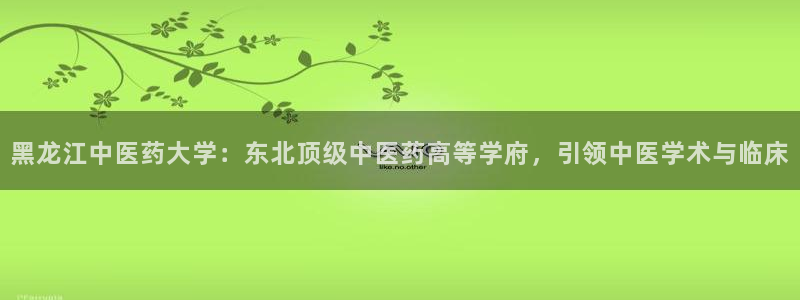 九游会中国入口嘛