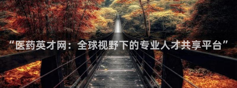 j9九游会合法吗