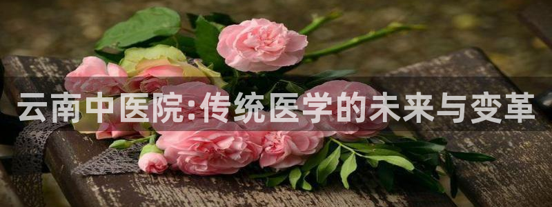 J9九游会试玩入口：