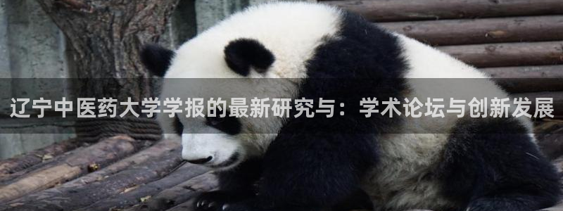 九游会老哥俱乐部交流