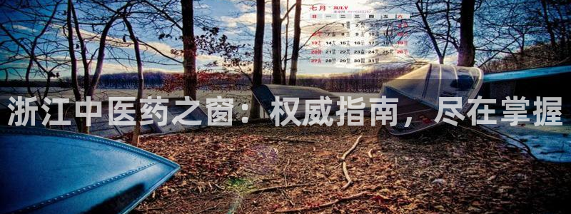 j9九游会体育：浙江