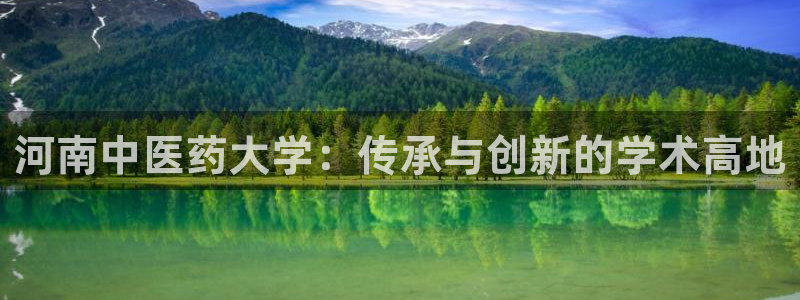 九游j9官网入口：河